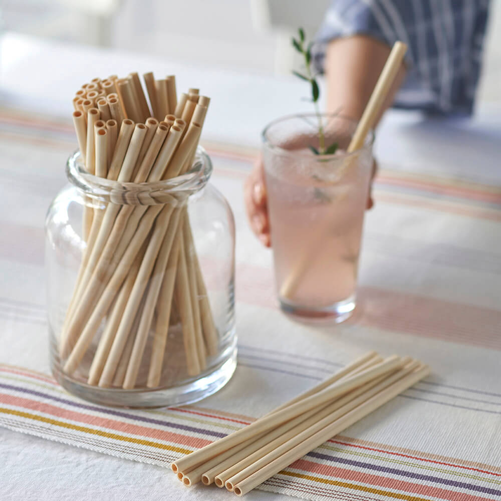 Disposable Bamboo Straws, Bulk Case