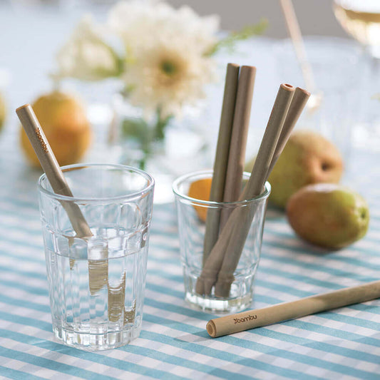 Reusable Short Bamboo Straws, set of 6