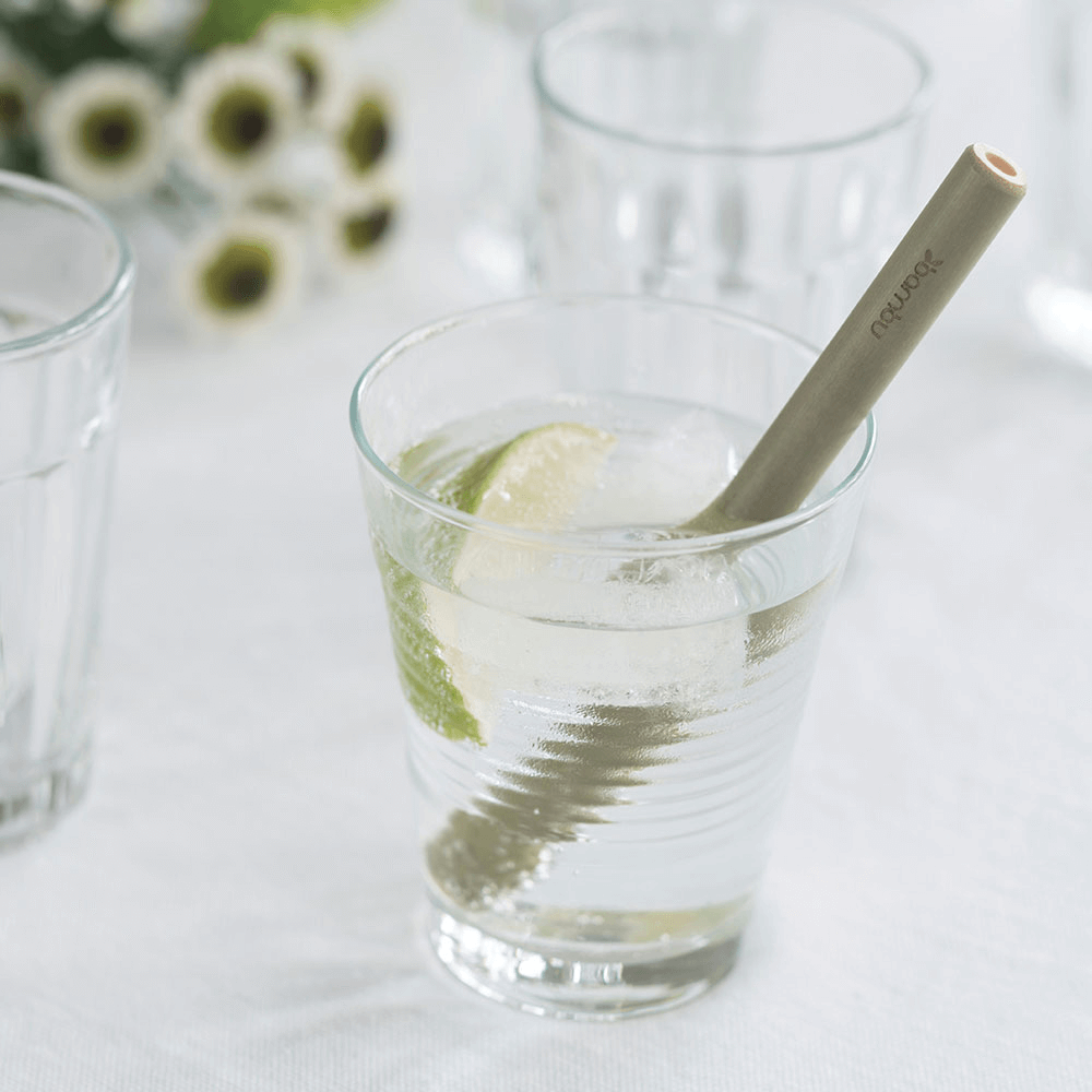Reusable Short Bamboo Straws, set of 6