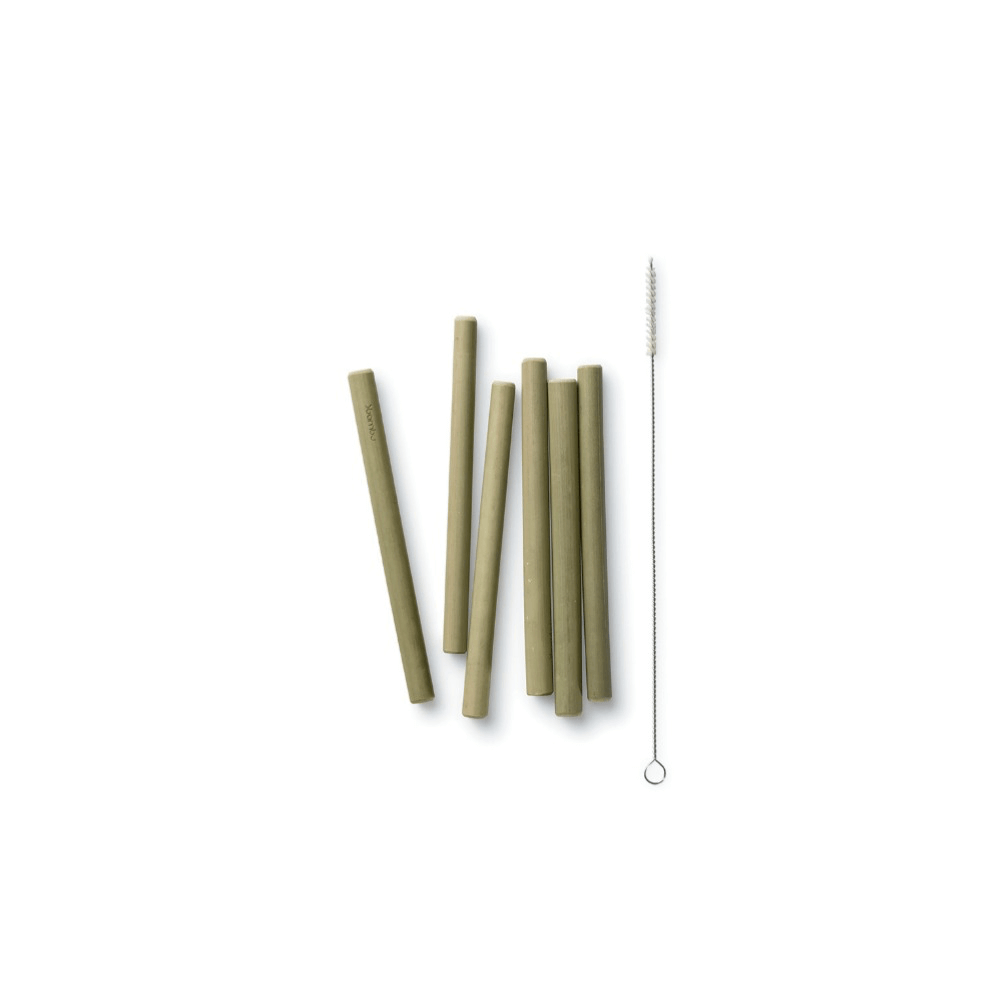 Reusable Short Bamboo Straws, set of 6