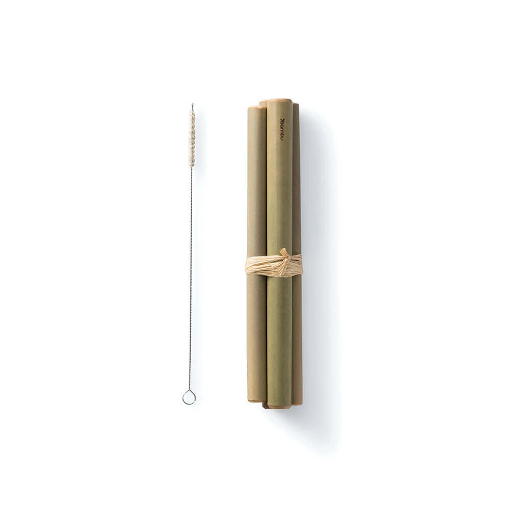 Reusable Jumbo Bamboo Straws, set of 4