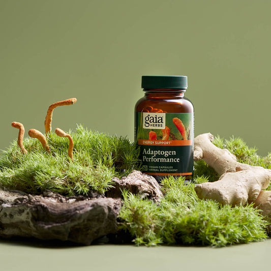 Adaptogen Performance Mushrooms & Herbs