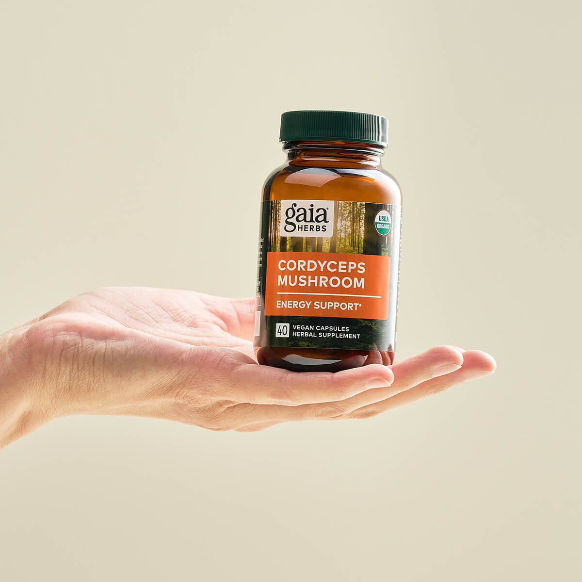 Cordyceps Mushroom
