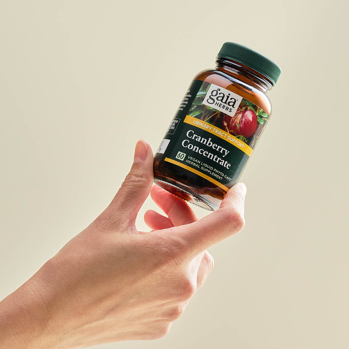 Cranberry Concentrate