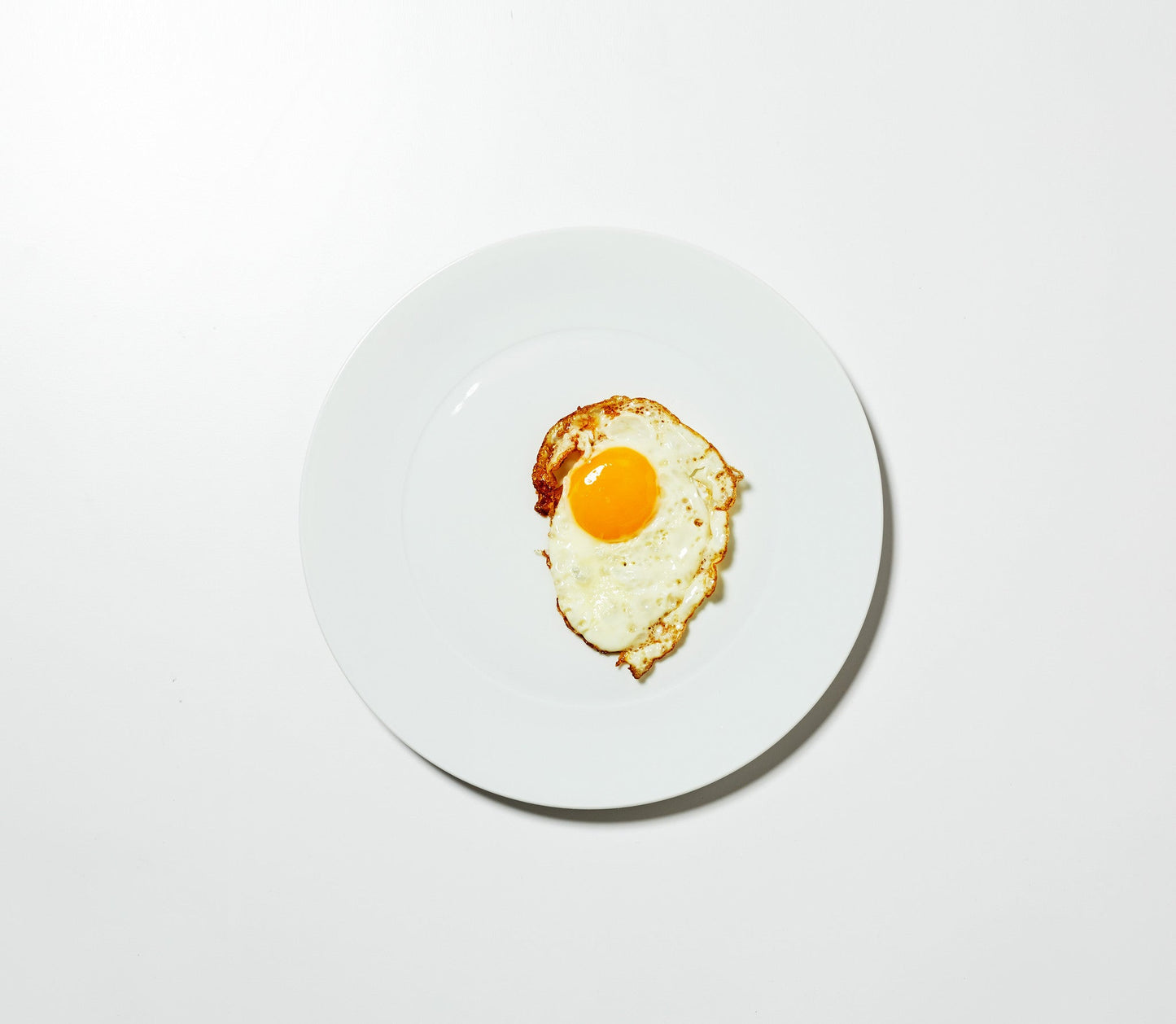 Dinner Plates