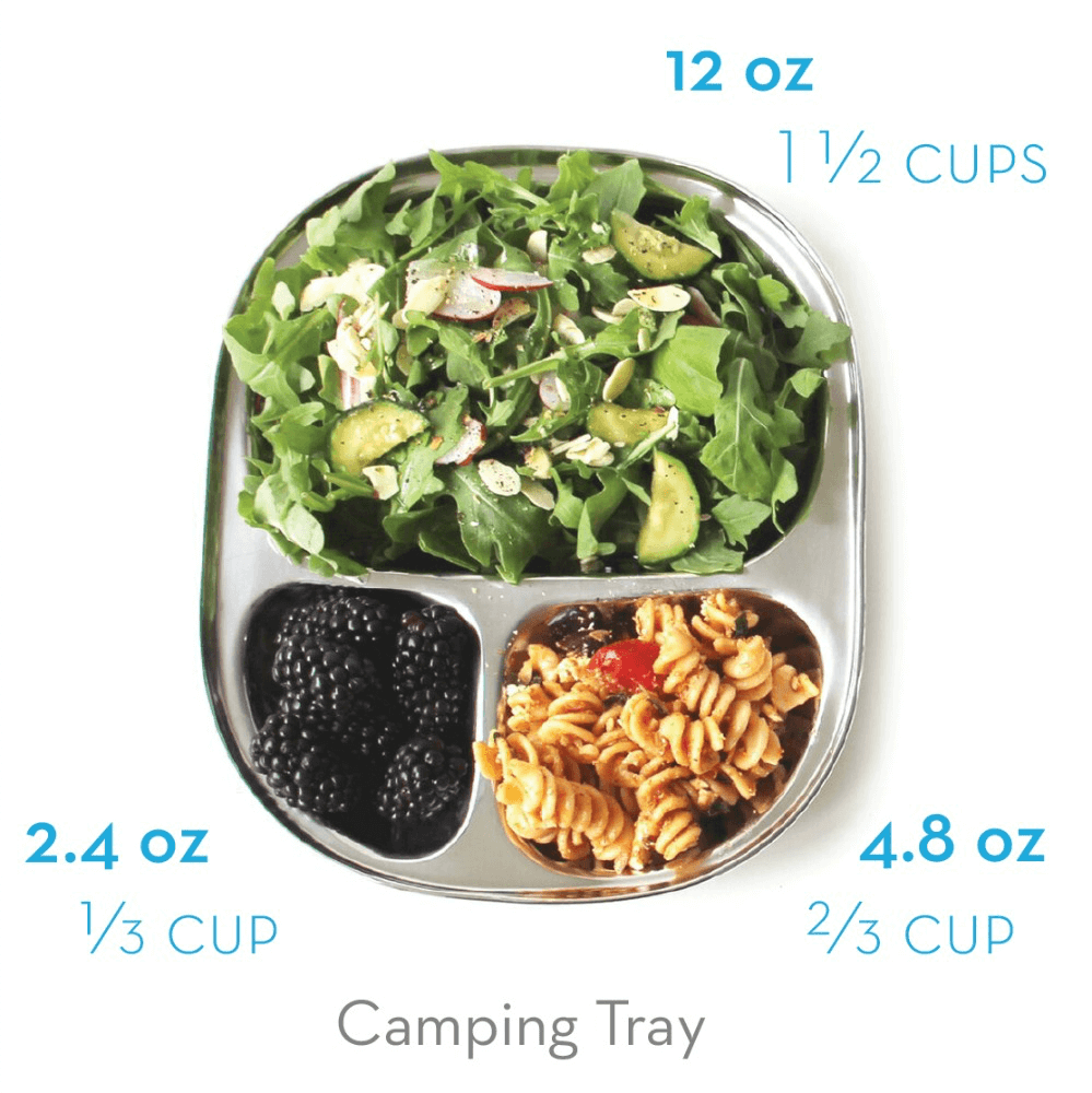 ECOLunchbox Stainless Camping Tray