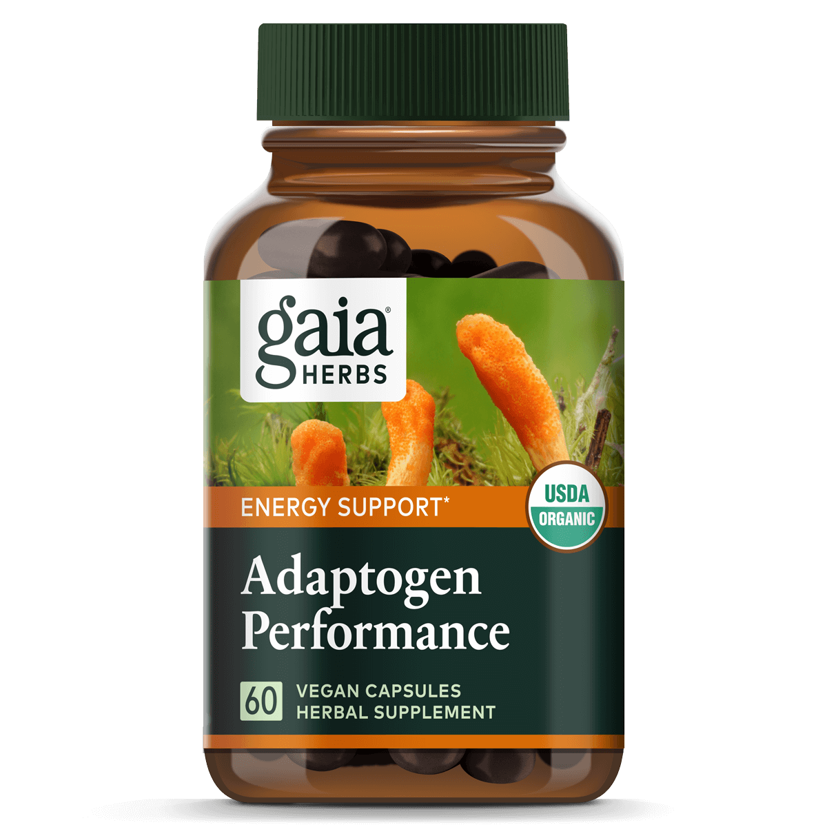 Adaptogen Performance Mushrooms & Herbs