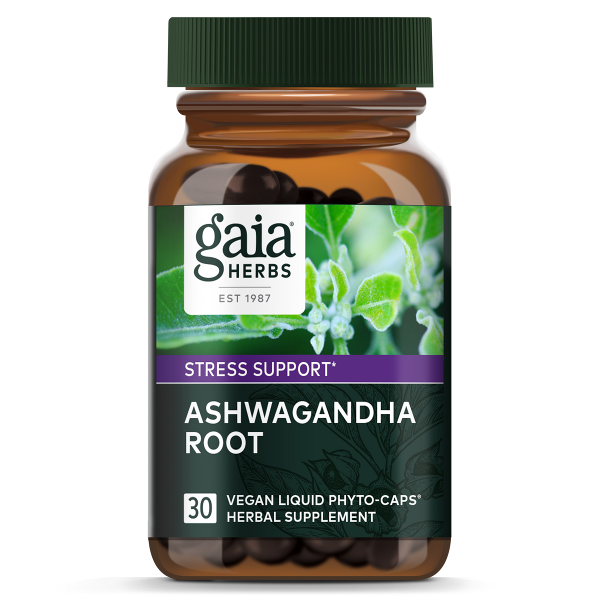 Ashwagandha Root
