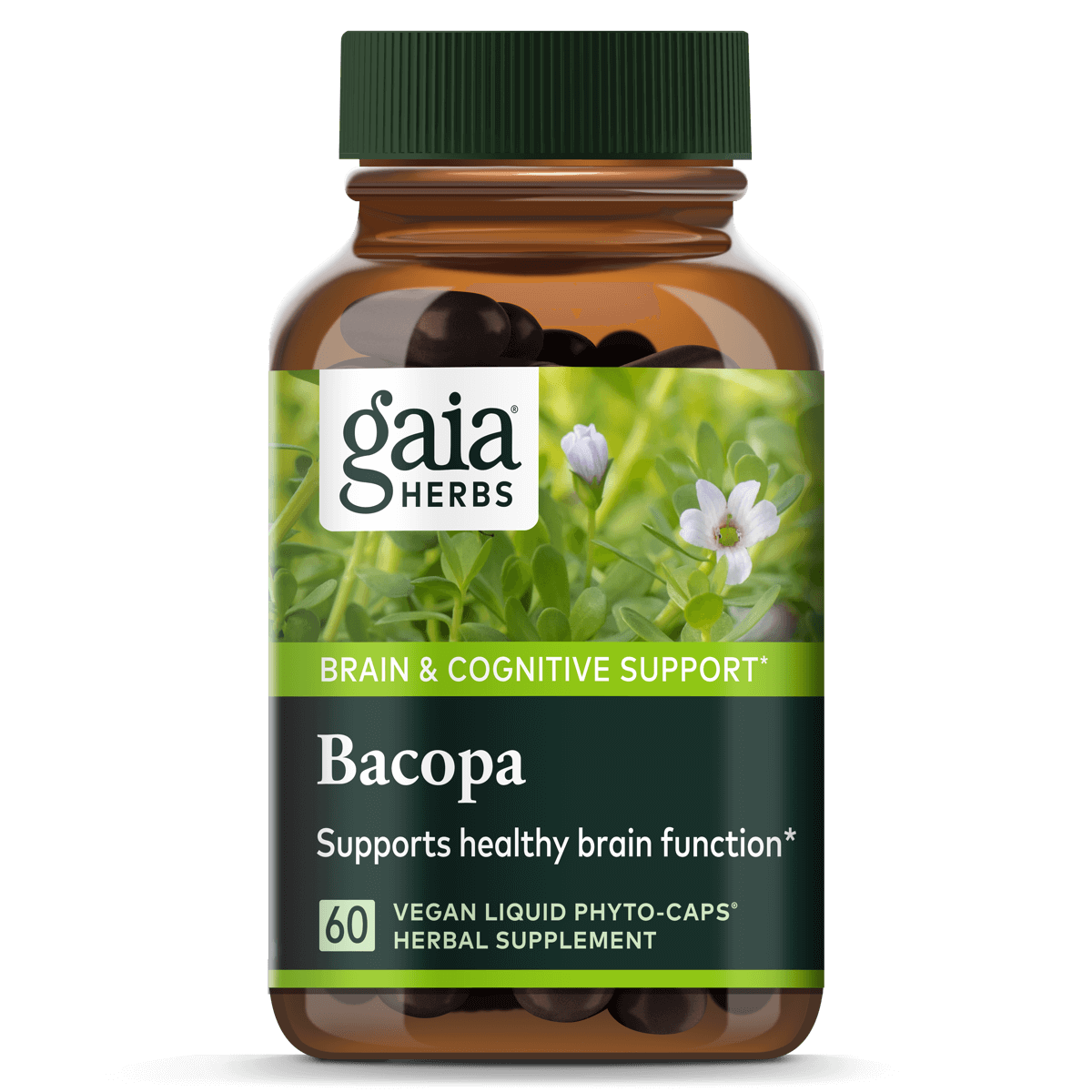 Bacopa