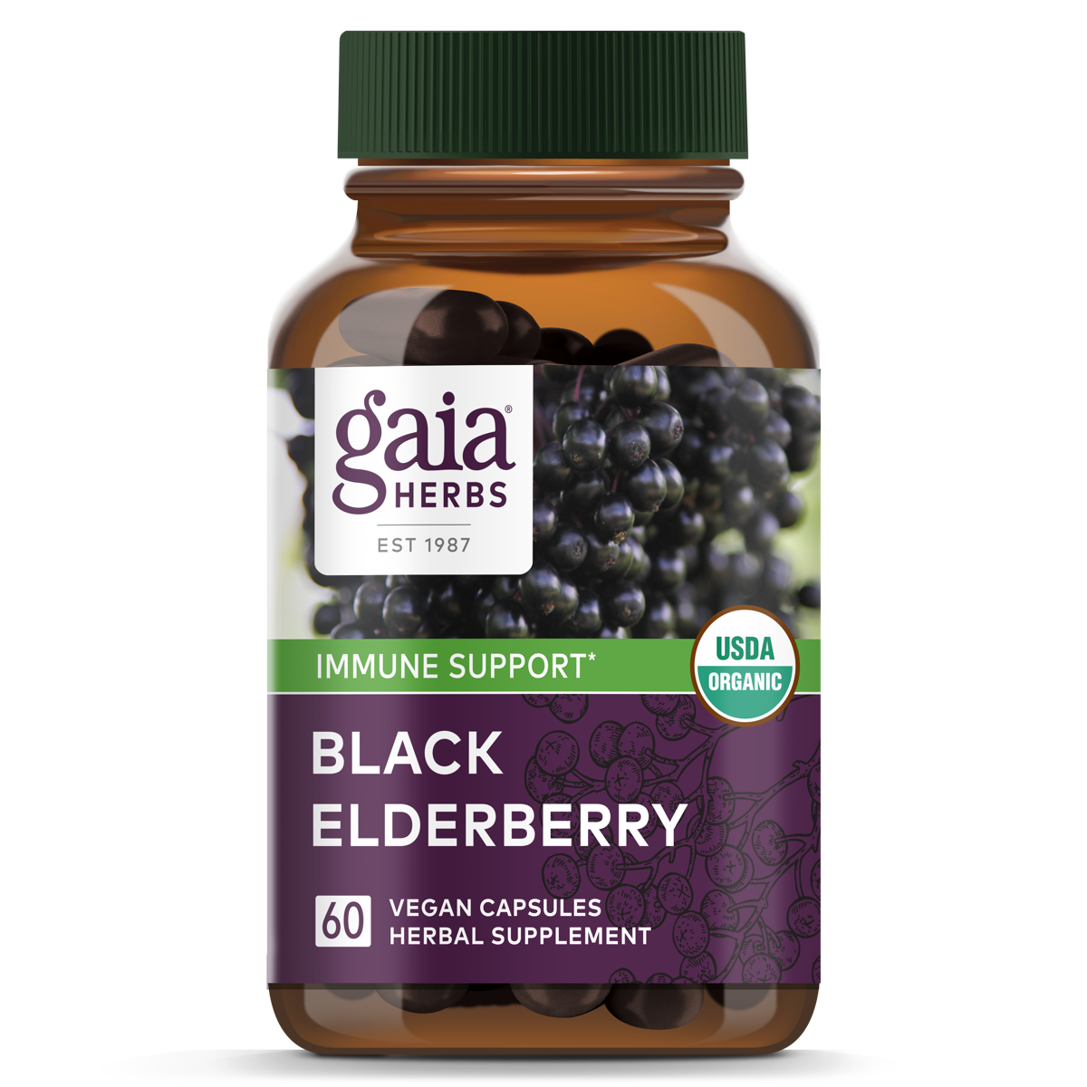 Black Elderberry