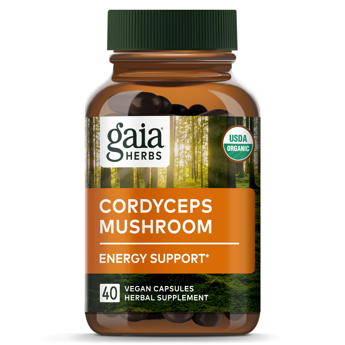 Cordyceps Mushroom