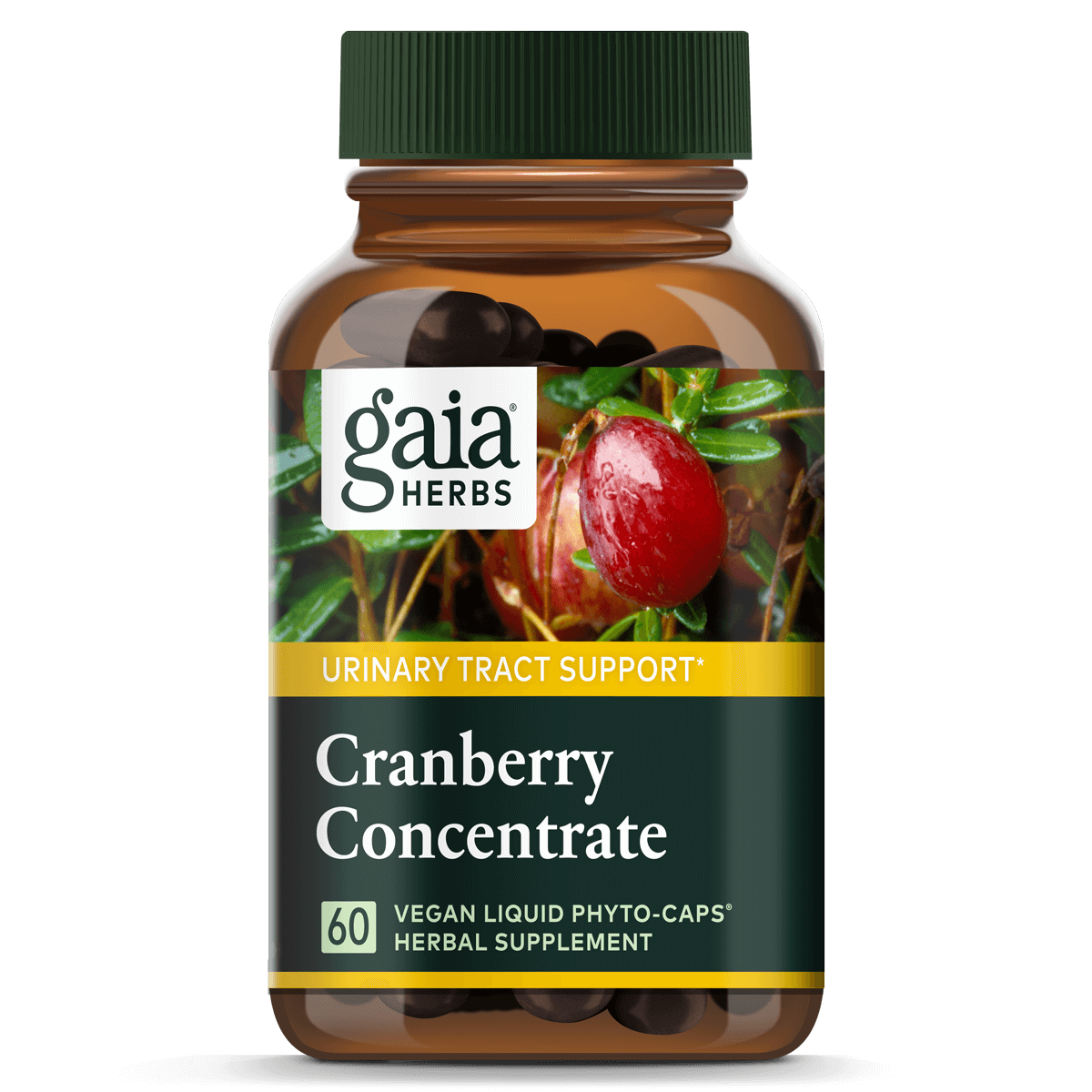 Cranberry Concentrate