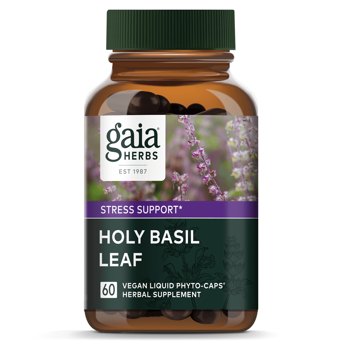 Holy Basil Leaf