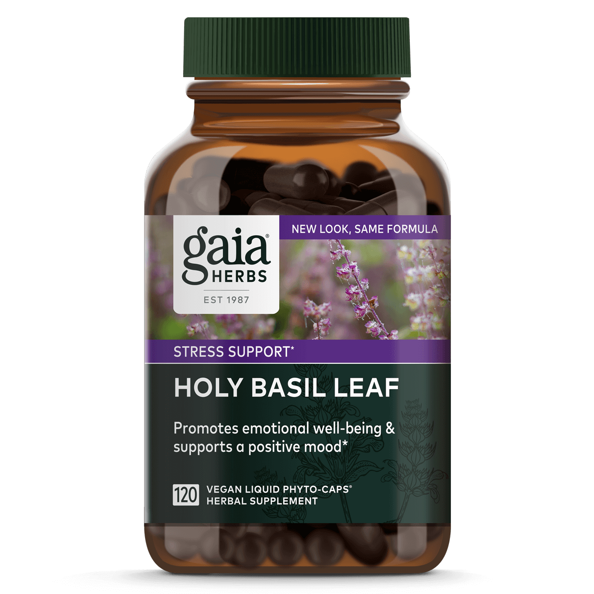 Holy Basil Leaf