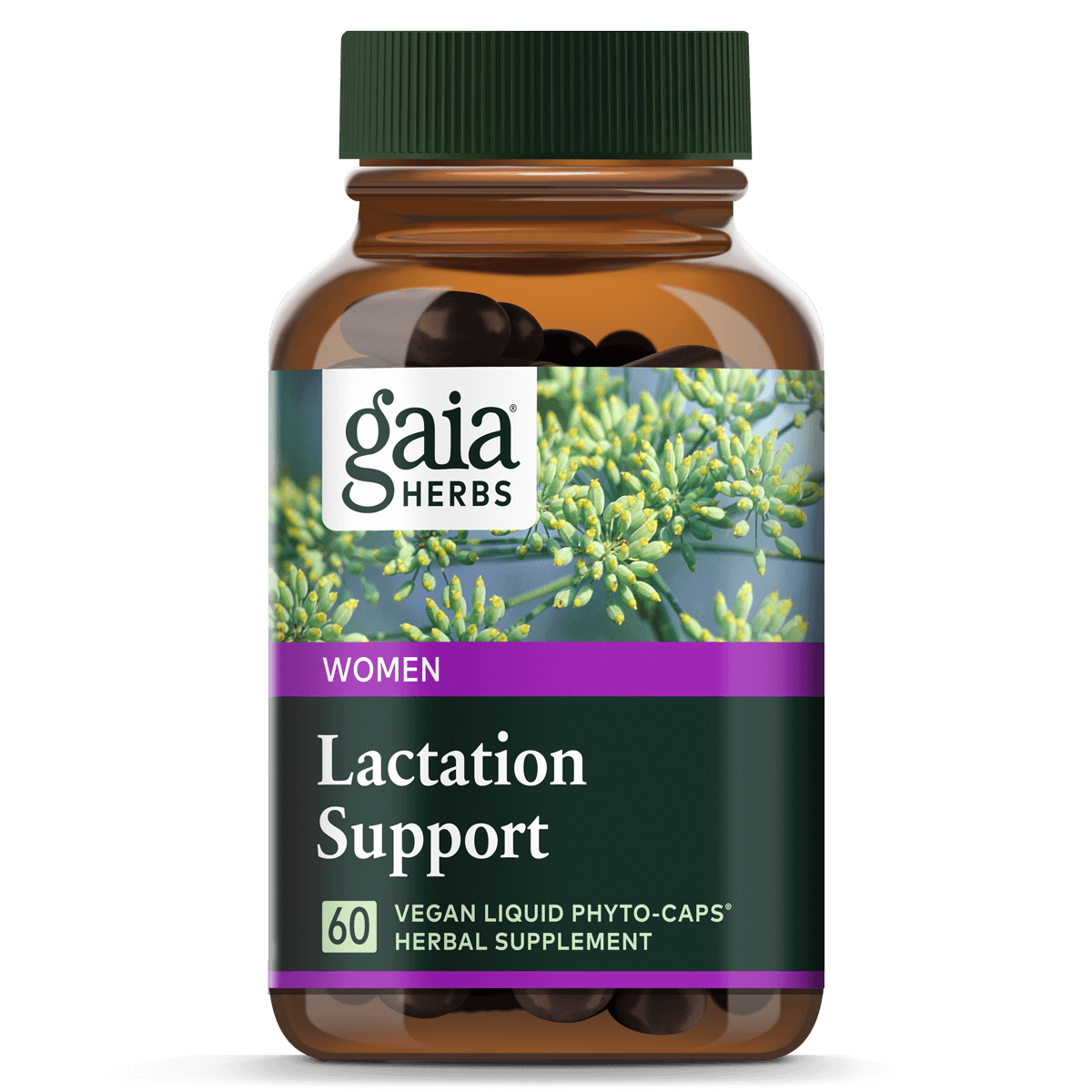 Lactation Support