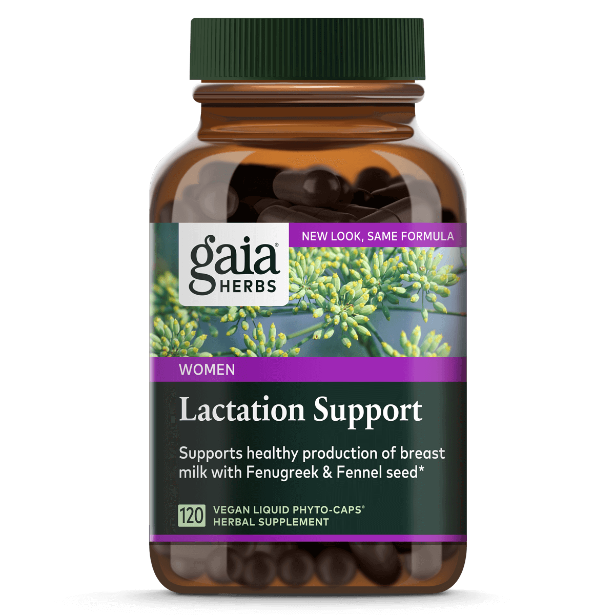 Lactation Support