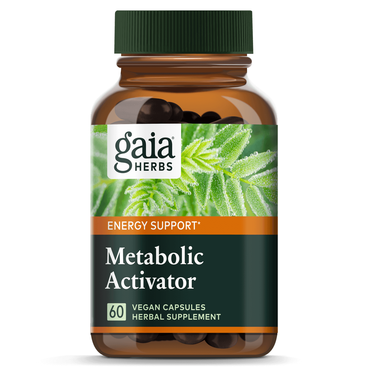 Metabolic Activator