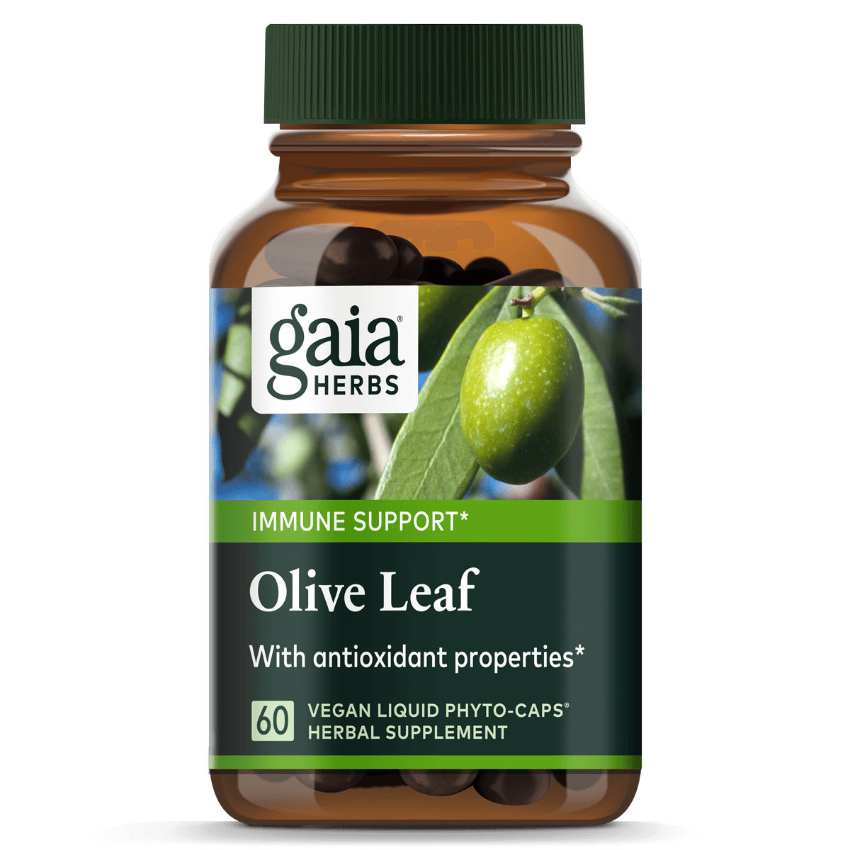Olive Leaf