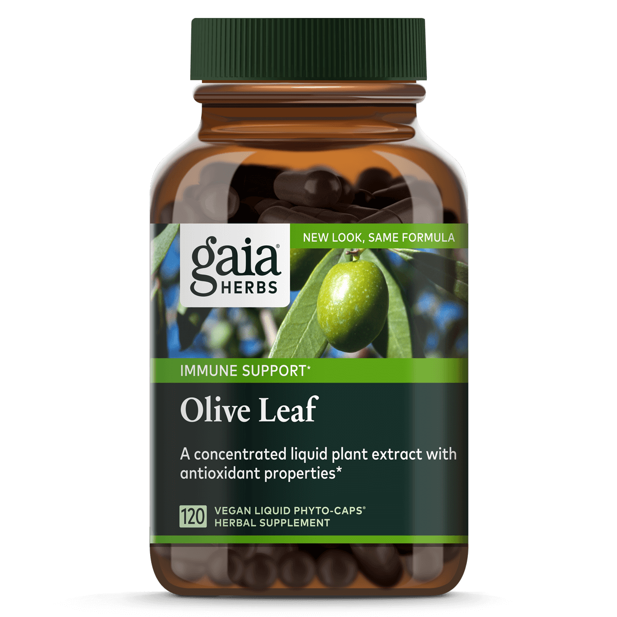 Olive Leaf