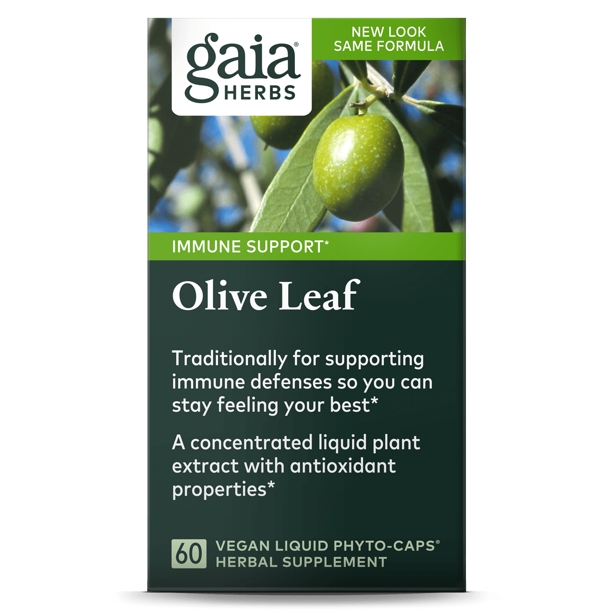 Olive Leaf