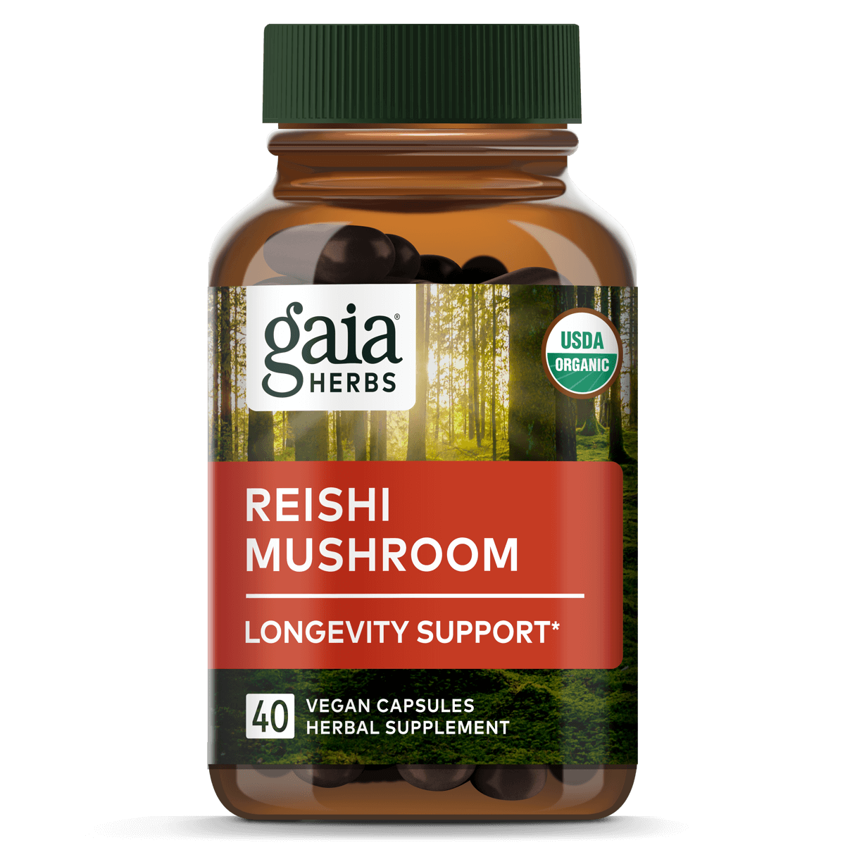 Reishi Mushroom