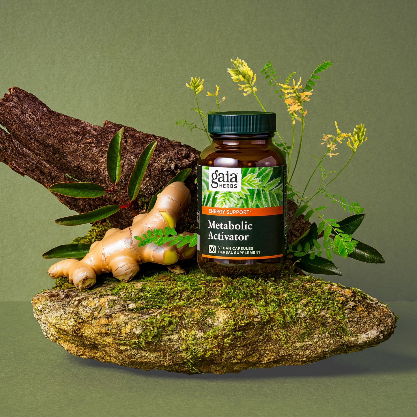 Metabolic Activator