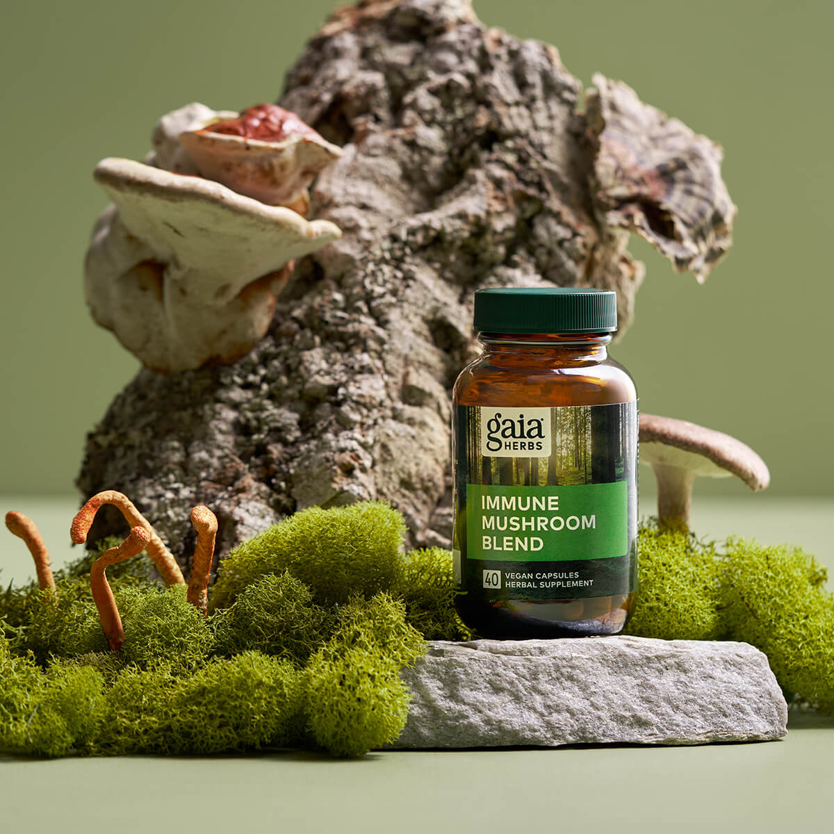 Immune Mushroom Blend