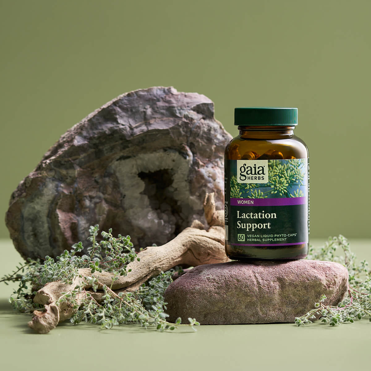 Lactation Support