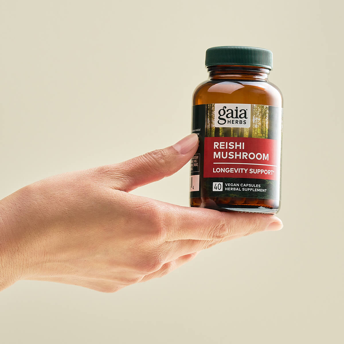 Reishi Mushroom