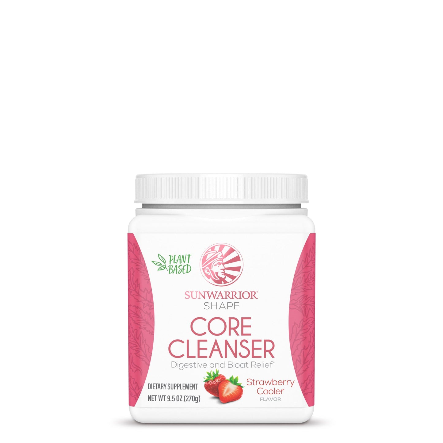 CORE CLEANSER