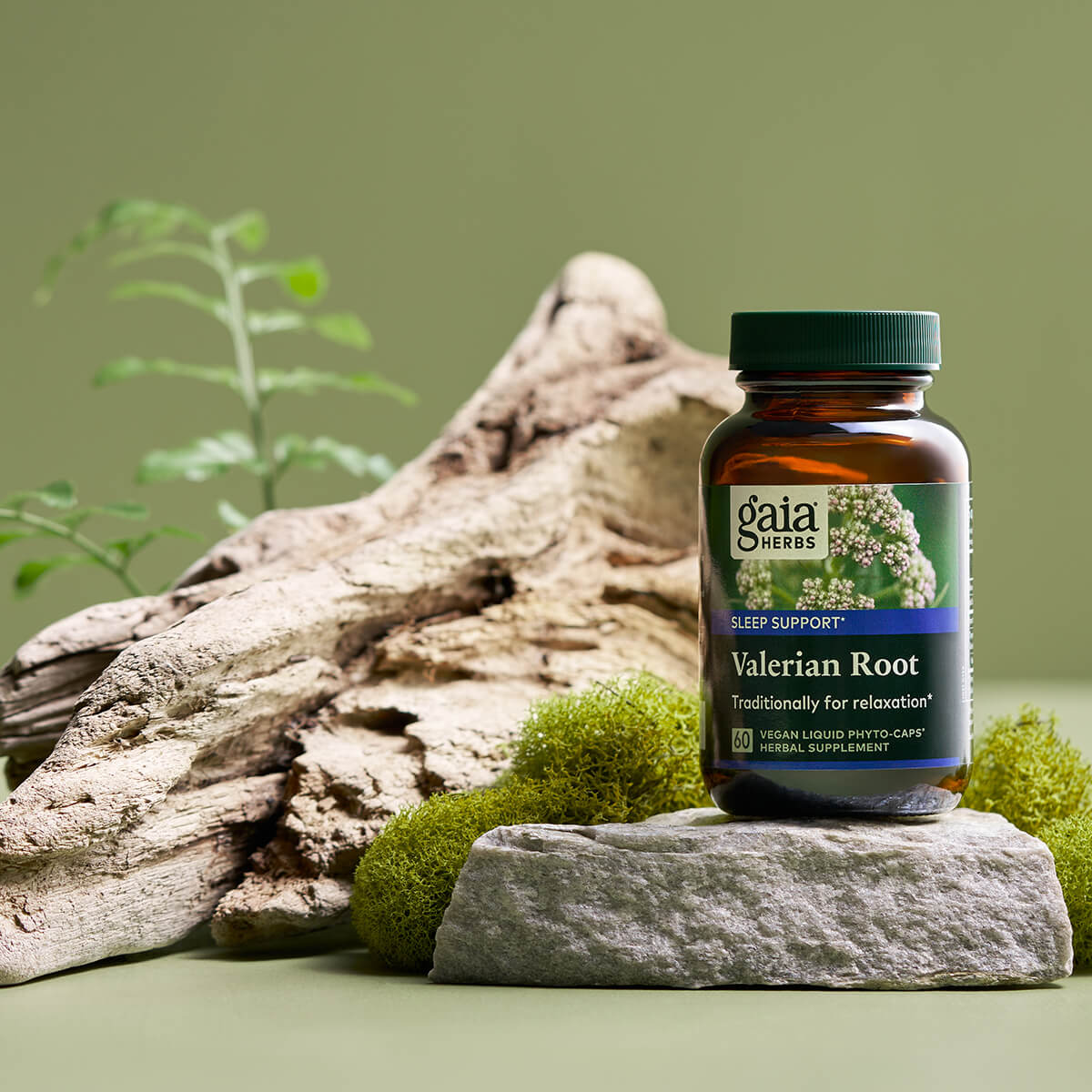Valerian Root