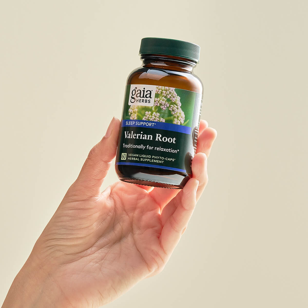 Valerian Root