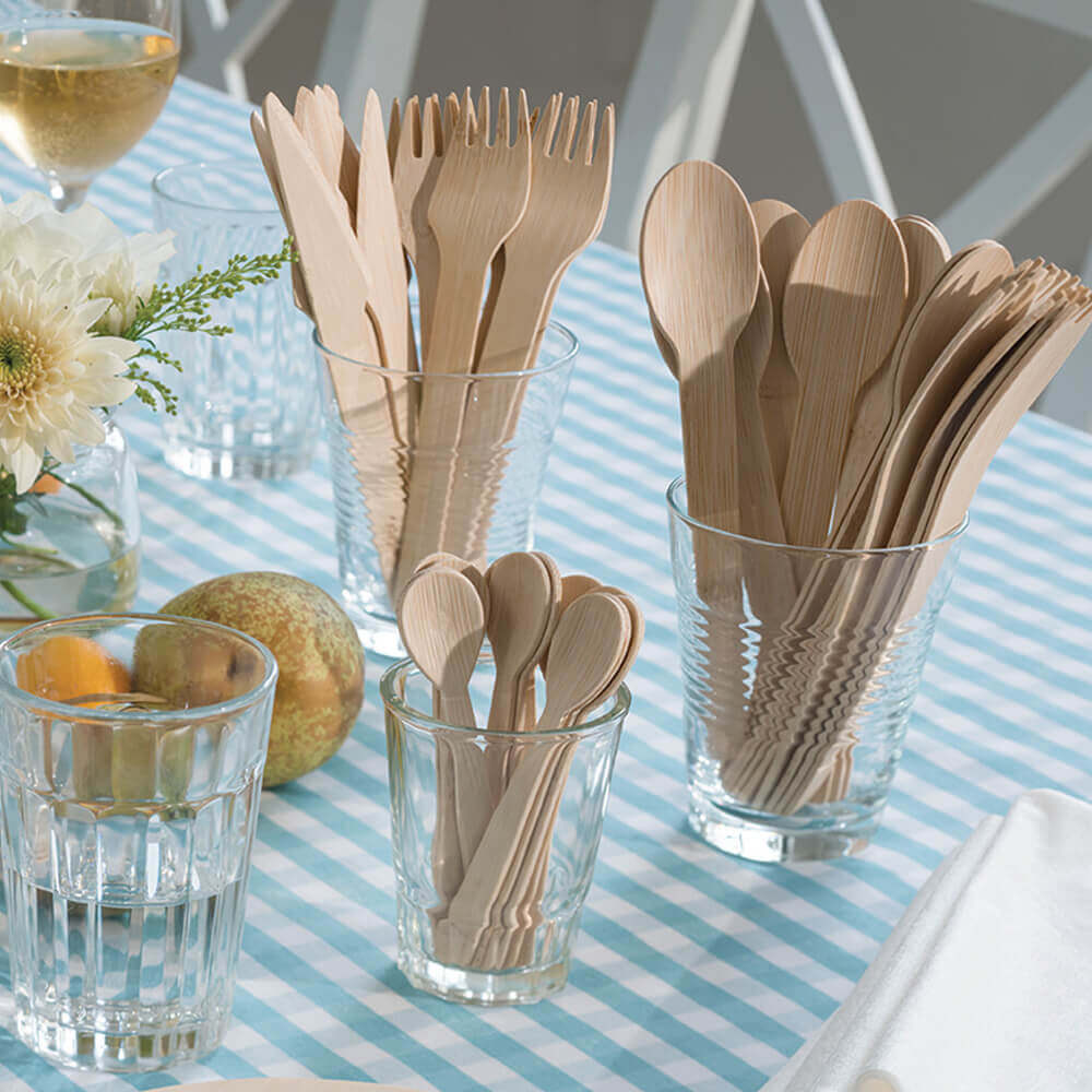 Disposable Bamboo Spoons