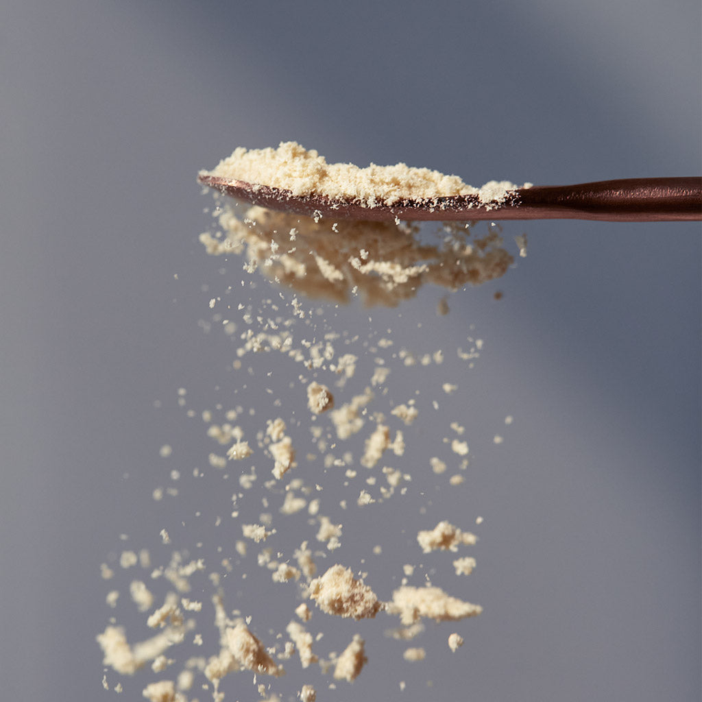 Collagen Protect