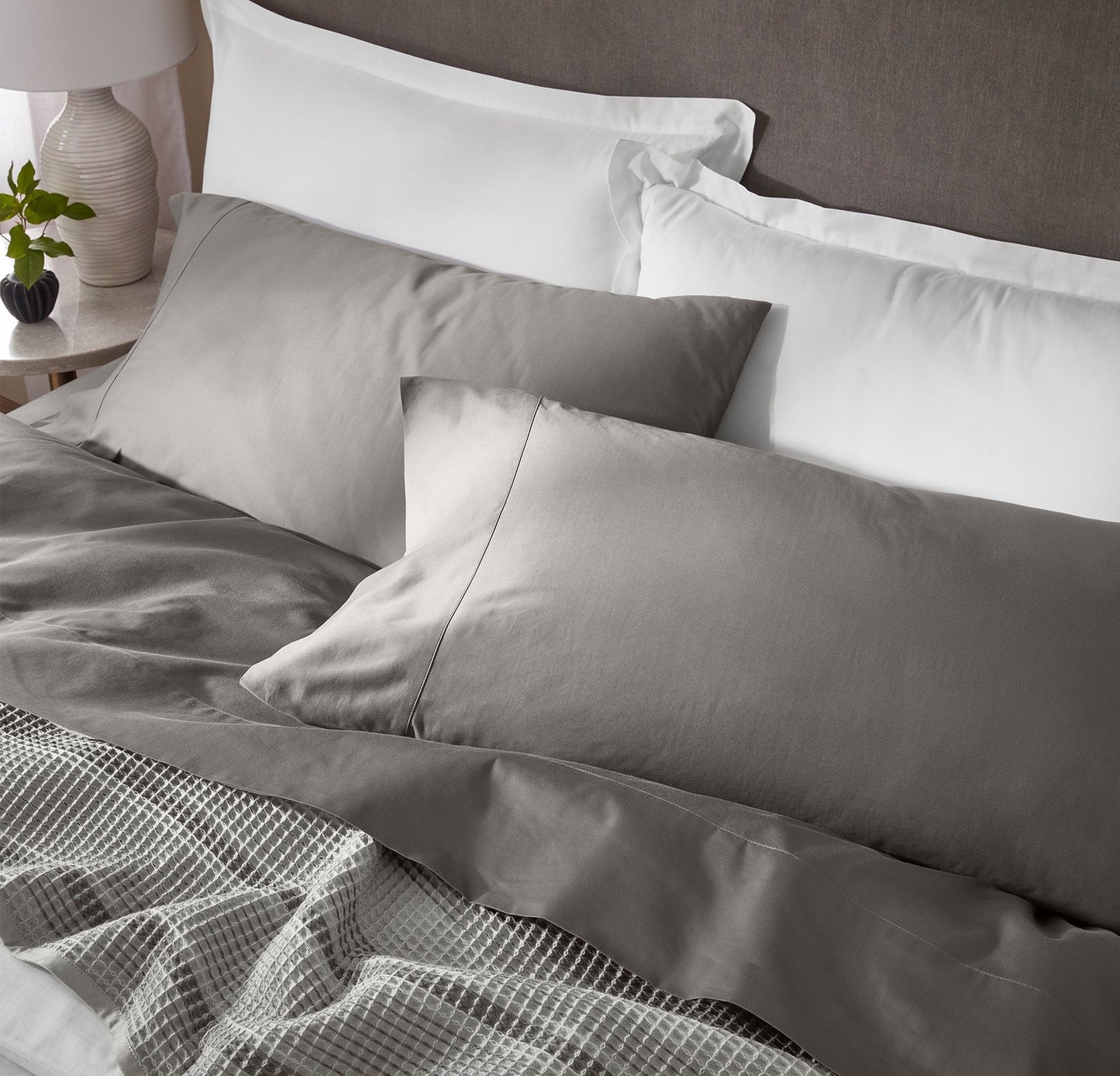 2-Signature Sheet Set Bundle