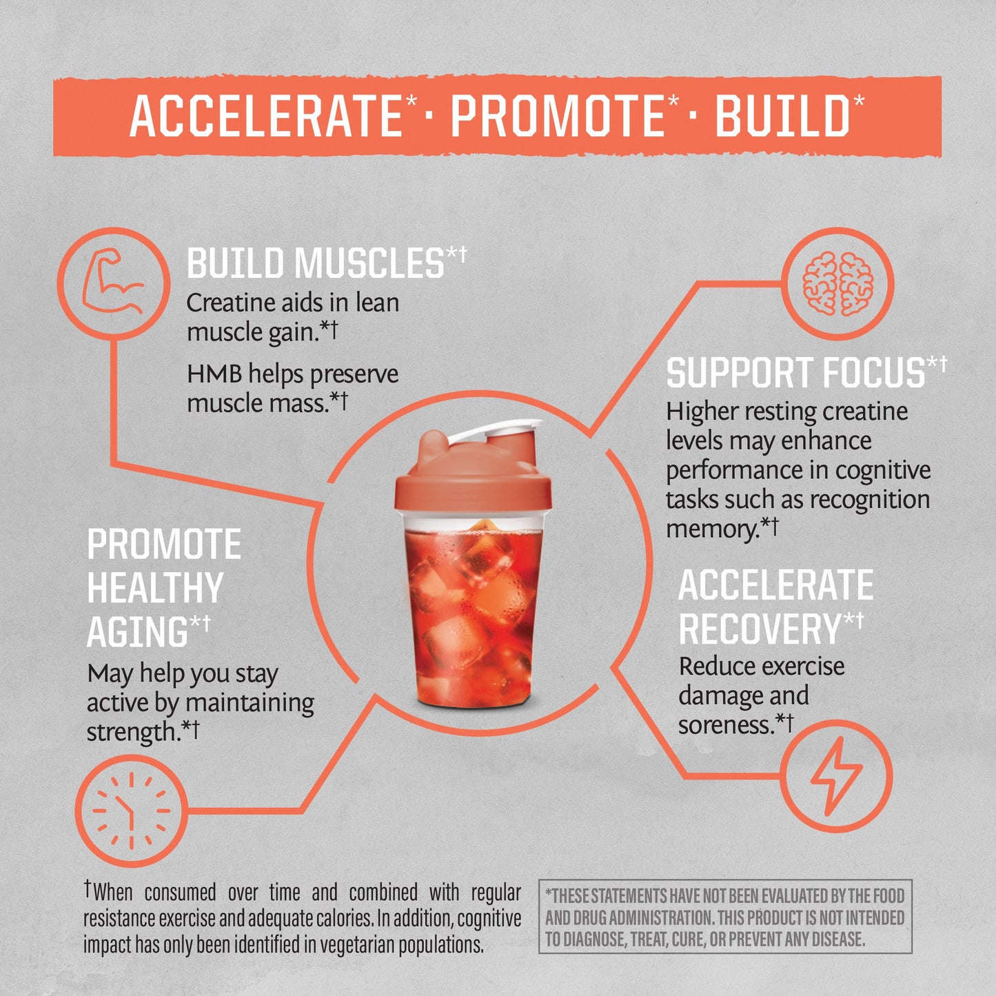 Active HMB + Creatine BUNDLE