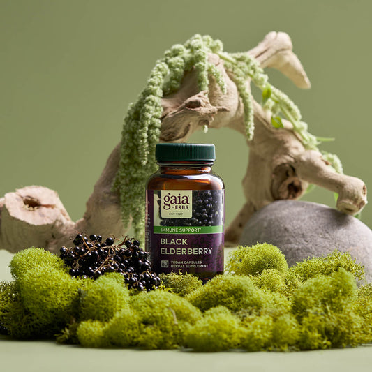 Black Elderberry