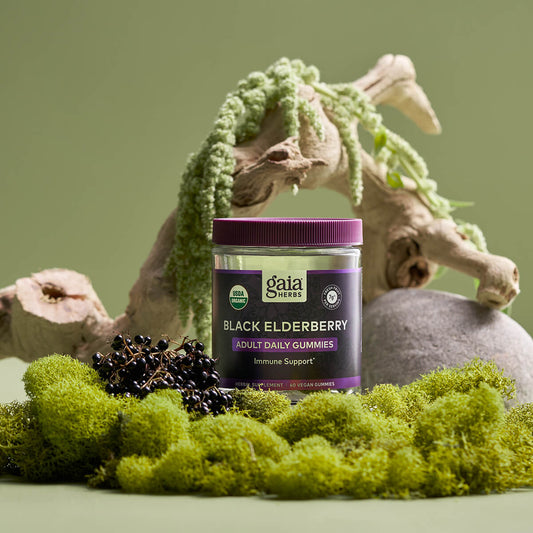 Black Elderberry Adult Daily Gummies