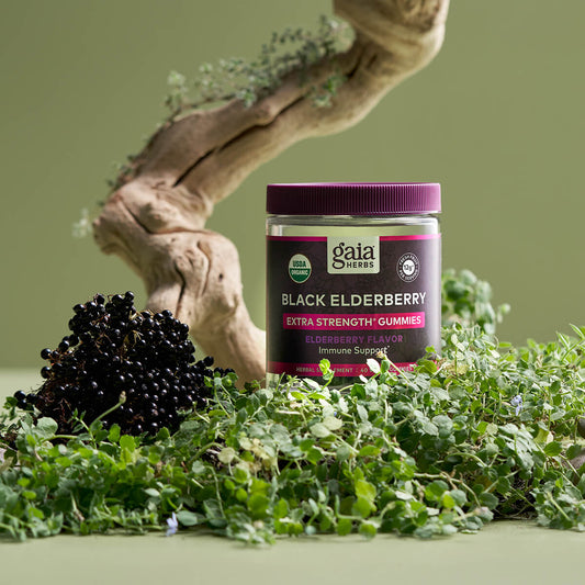 Black Elderberry Extra Strength Gummies