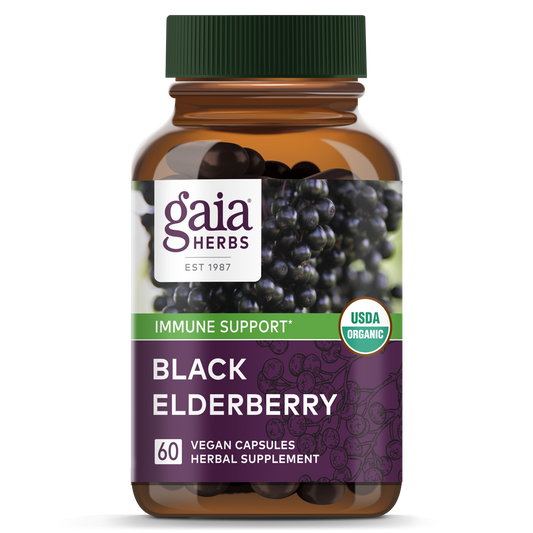 Black Elderberry