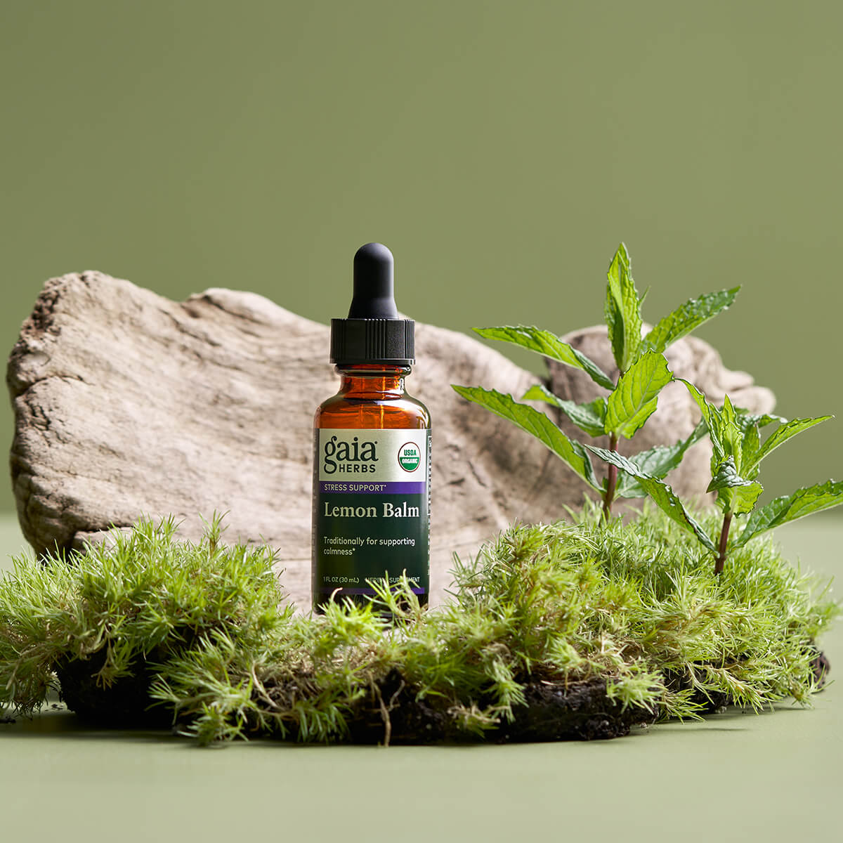 Lemon Balm, Certified Organic