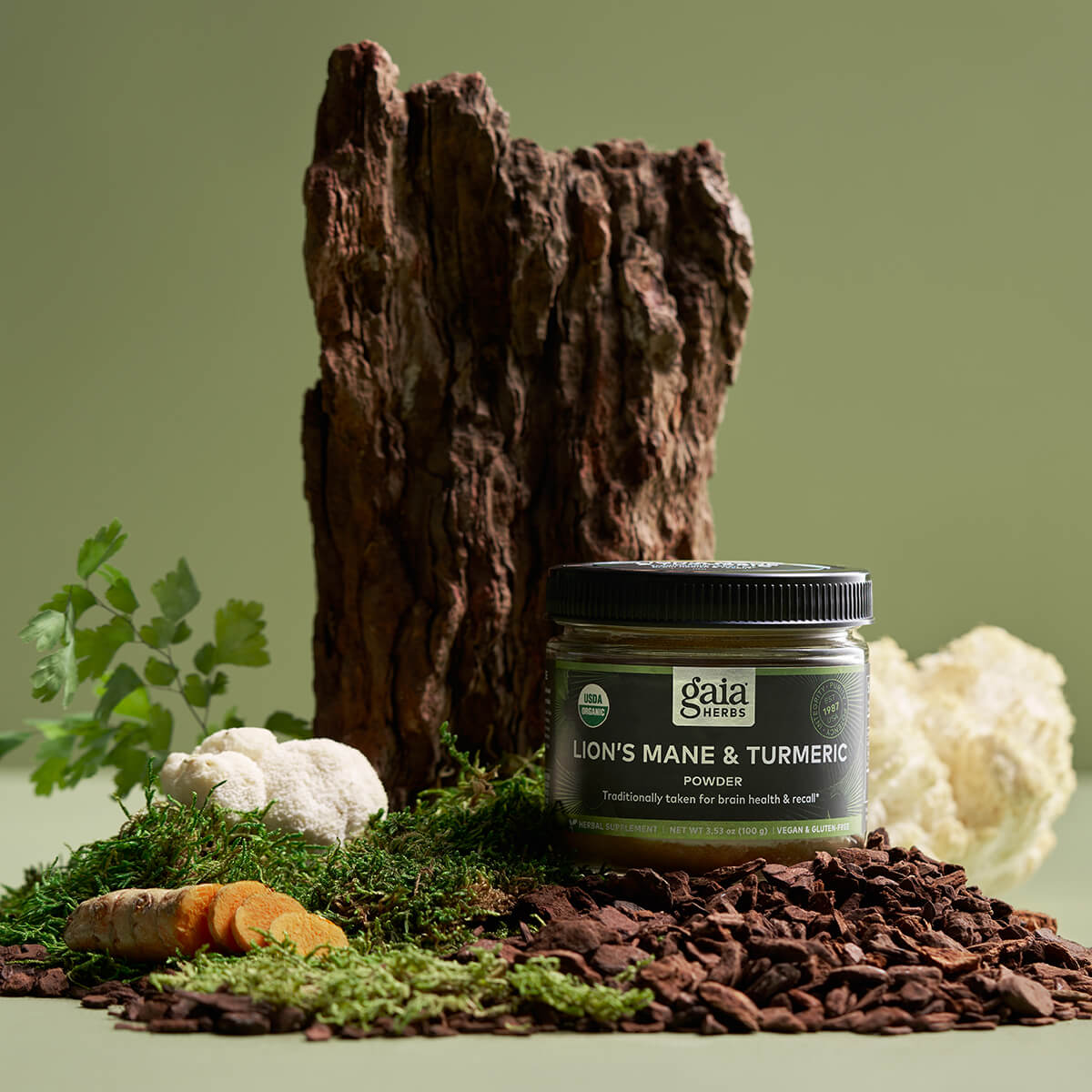 Lion's Mane & Turmeric Powder