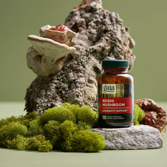 Reishi Mushroom