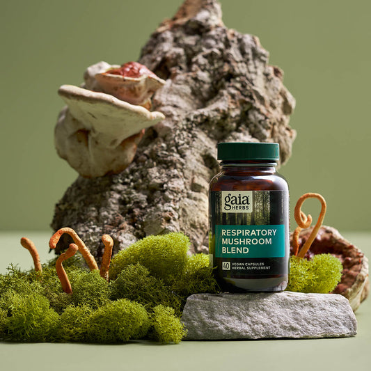 Respiratory Mushroom Blend