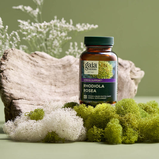 Rhodiola Rosea
