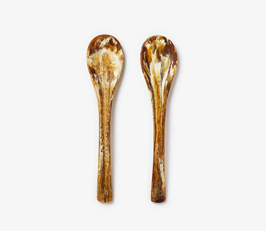Resin Serving Spoon Set