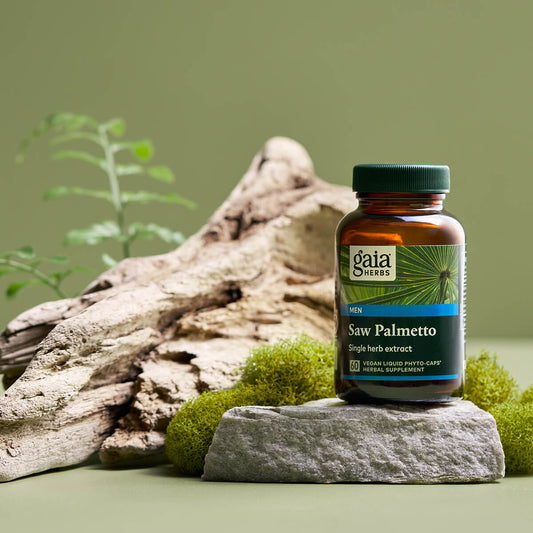 Saw Palmetto
