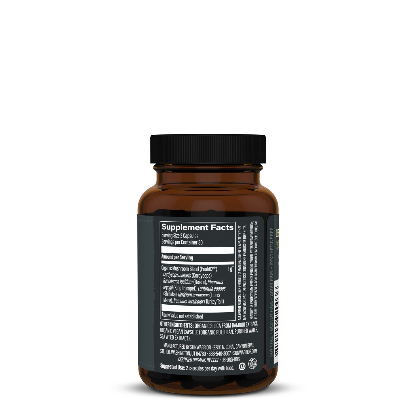 Free Product