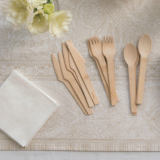 Disposable Bamboo Spoons